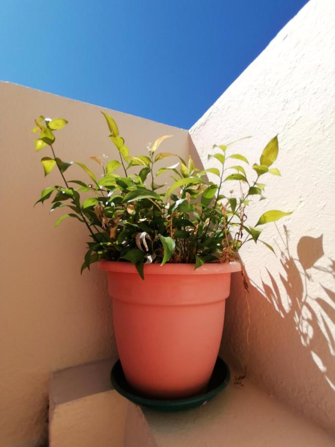 פארו Apartamento Penha T3 מראה חיצוני תמונה